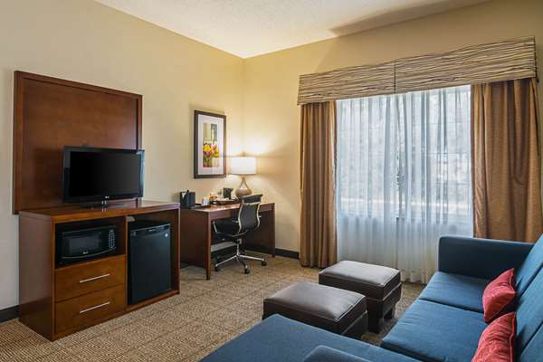 Suite - Comfort Suites Grayslake