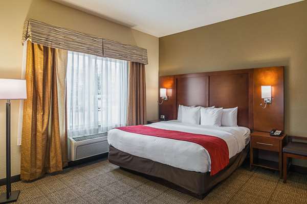 Suite - Comfort Suites Grayslake