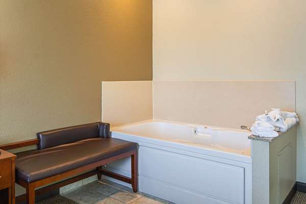 Suite - Comfort Suites Grayslake