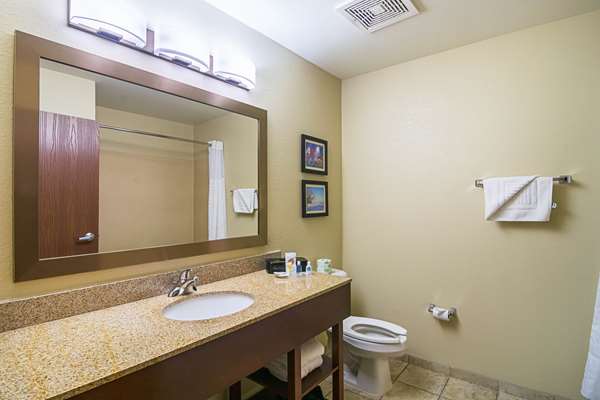 Suite - Comfort Suites Grayslake