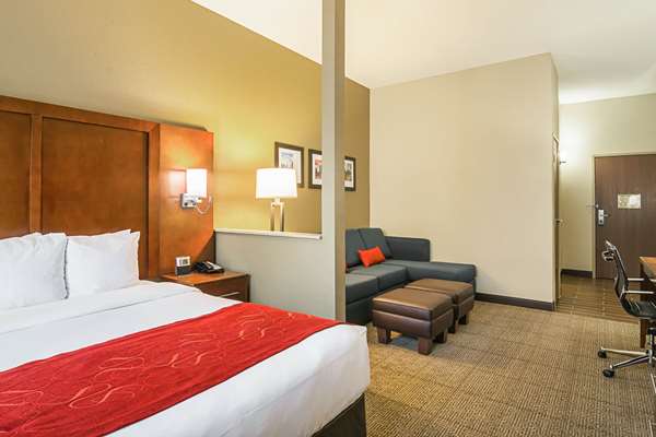 Suite - Comfort Suites Grayslake
