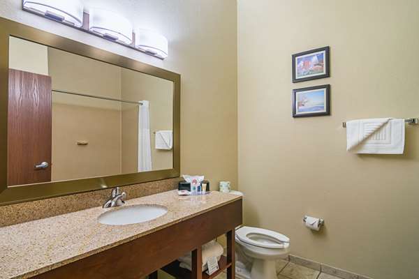 Suite - Comfort Suites Grayslake
