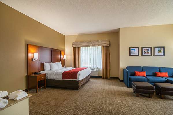 Suite - Comfort Suites Grayslake