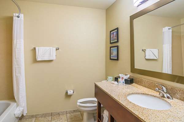 Suite - Comfort Suites Grayslake