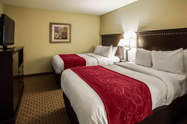 Suite - Comfort Suites Bloomington - I-55 & I-74, Exit 160