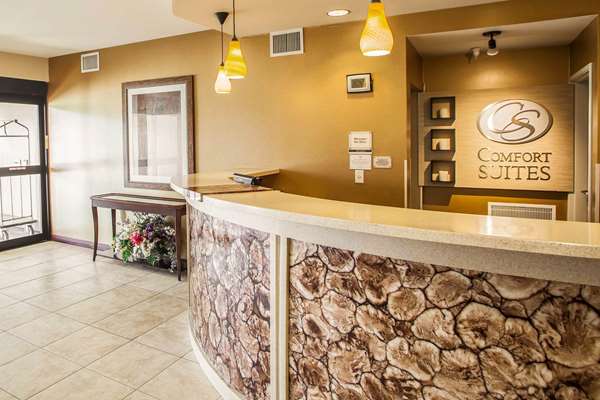  - Comfort Suites Bloomington - I-55 & I-74, Exit 160