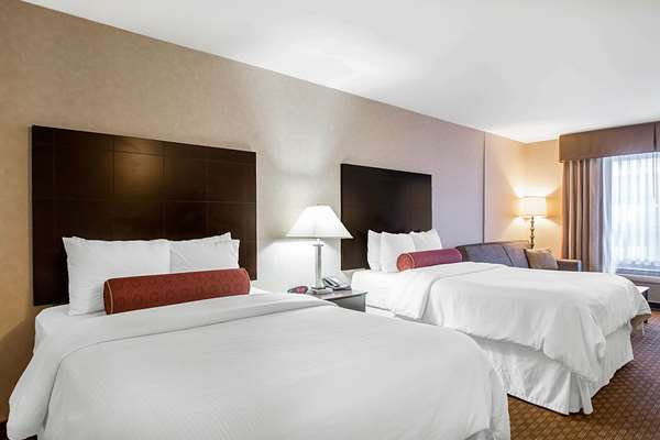 Suite - Clarion Inn Elmhurst