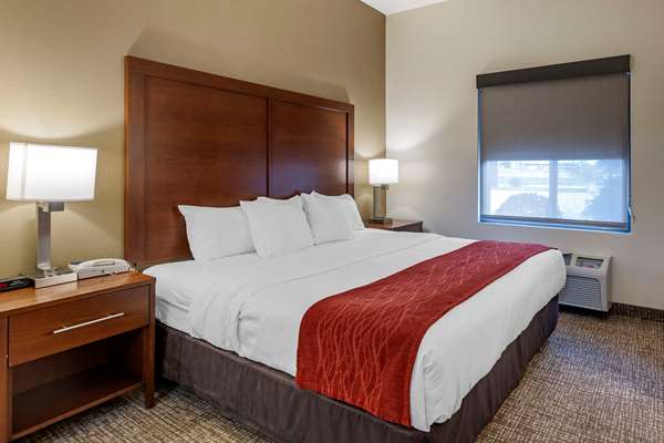 Suite - Comfort Inn & Suites Greenville