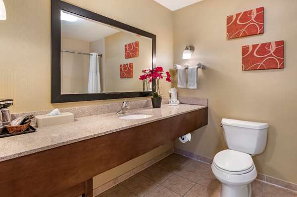 Suite - Comfort Suites Urbana - I-74, Exit 183