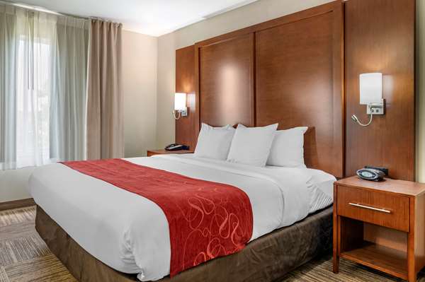 Suite - Comfort Suites Urbana - I-74, Exit 183