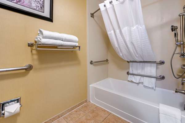 Suite - Comfort Suites Urbana - I-74, Exit 183