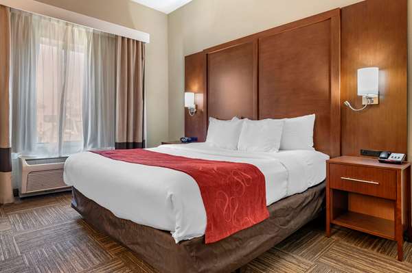 Suite - Comfort Suites Urbana - I-74, Exit 183
