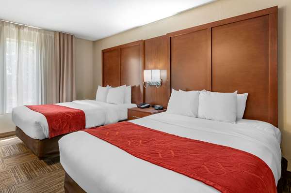 Suite - Comfort Suites Urbana - I-74, Exit 183