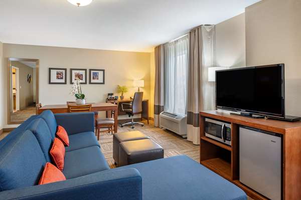 Suite - Comfort Suites Urbana - I-74, Exit 183