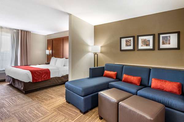 Suite - Comfort Suites Urbana - I-74, Exit 183