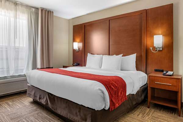 Suite - Comfort Suites Urbana - I-74, Exit 183