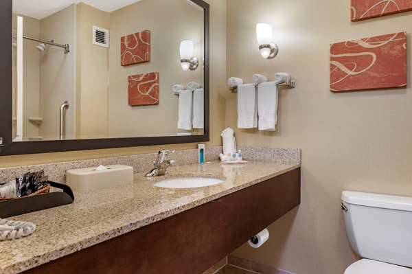 Suite - Comfort Suites Urbana - I-74, Exit 183