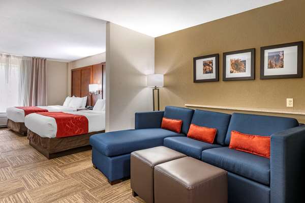 Suite - Comfort Suites Urbana - I-74, Exit 183