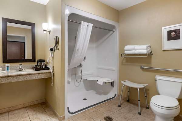 Suite - Comfort Suites Urbana - I-74, Exit 183