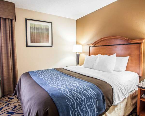Suite - Comfort Inn Bourbonnais - I-57, Exit 315