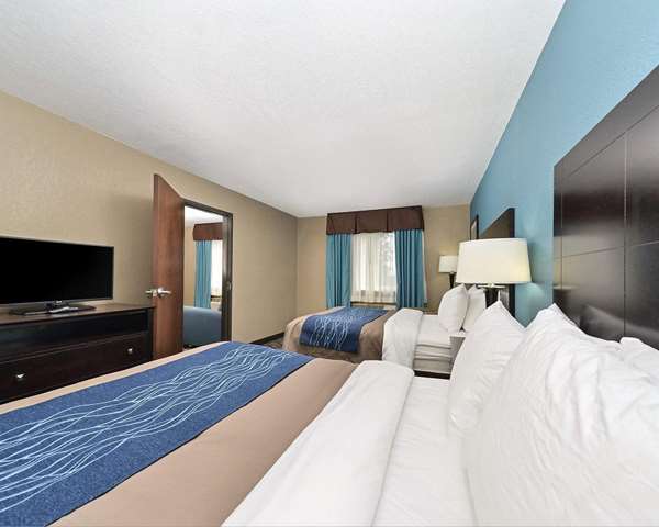 Suite - Comfort Inn & Suites Springfield - I-55 & I-72, Exit 92A