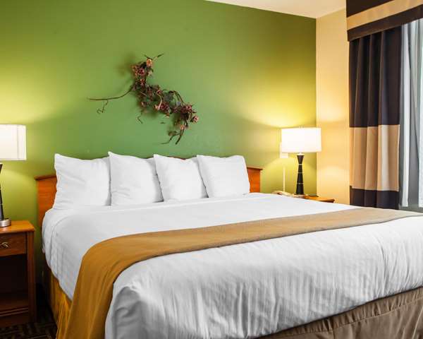 Suite - Quality Inn Bolingbrook - I-55, Exit 267