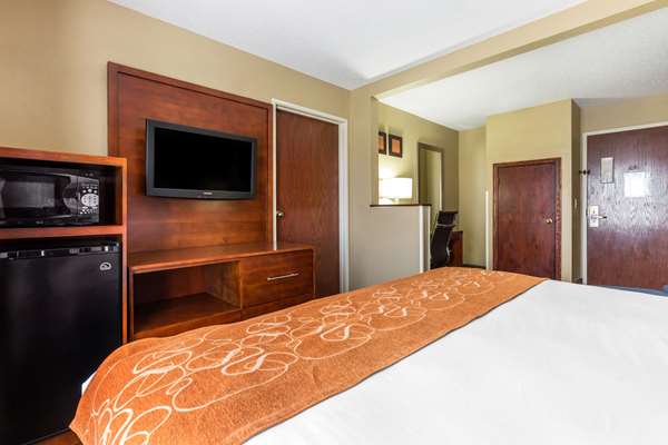  - Comfort Suites Lansing - I-80 & I-94, Exit 161