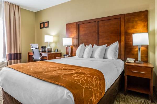  - Comfort Suites Lansing - I-80 & I-94, Exit 161