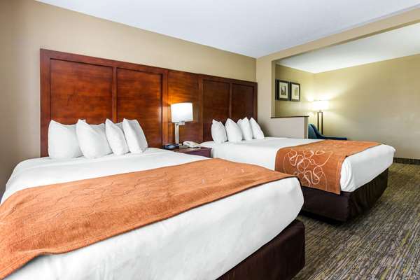 Suite - Comfort Suites Lansing - I-80 & I-94, Exit 161