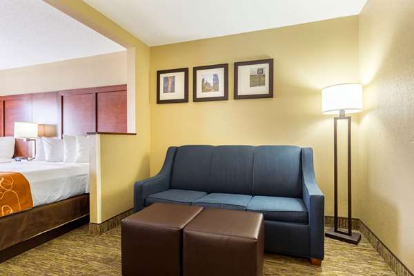 Suite - Comfort Suites Lansing - I-80 & I-94, Exit 161