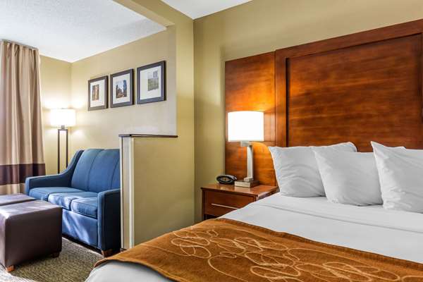 Suite - Comfort Suites Lansing - I-80 & I-94, Exit 161