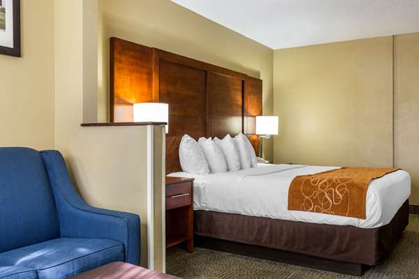 Suite - Comfort Suites Lansing - I-80 & I-94, Exit 161