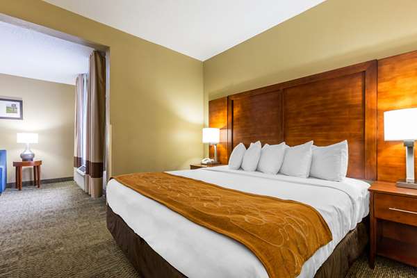 Suite - Comfort Suites Lansing - I-80 & I-94, Exit 161