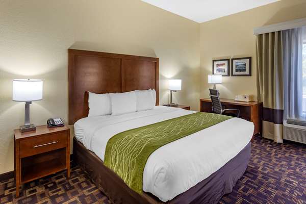 Suite - Comfort Inn & Suites North Aurora - I-88, Exit 117