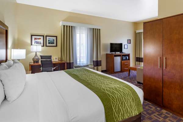 Suite - Comfort Inn & Suites North Aurora - I-88, Exit 117