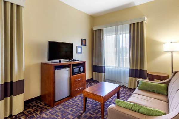 Suite - Comfort Inn & Suites North Aurora - I-88, Exit 117