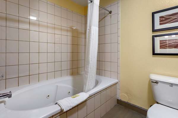 Suite - Comfort Inn & Suites North Aurora - I-88, Exit 117