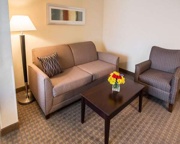  - Comfort Suites Notre Dame University Area South Bend