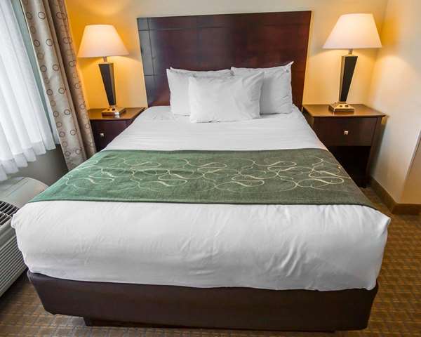 - Comfort Suites Notre Dame University Area South Bend