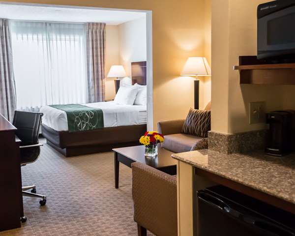  - Comfort Suites Notre Dame University Area South Bend