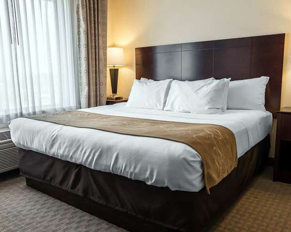  - Comfort Suites Notre Dame University Area South Bend