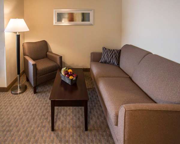  - Comfort Suites Notre Dame University Area South Bend