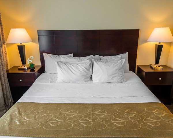  - Comfort Suites Notre Dame University Area South Bend