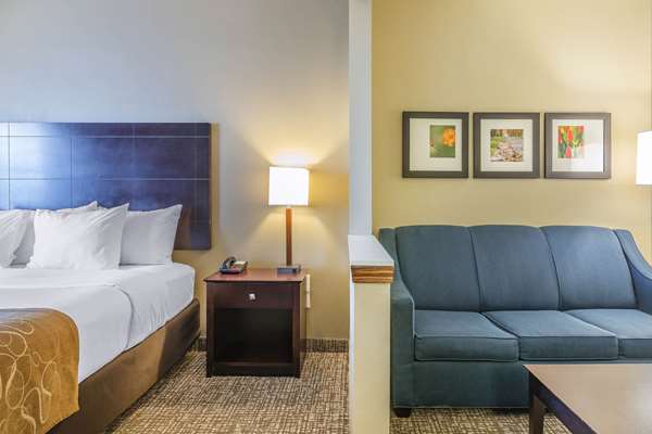  - Comfort Suites North Fort Wayne - I-69, Exit 316