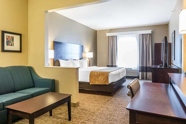  - Comfort Suites North Fort Wayne - I-69, Exit 316