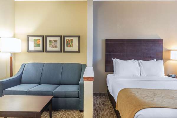 - Comfort Suites North Fort Wayne - I-69, Exit 316