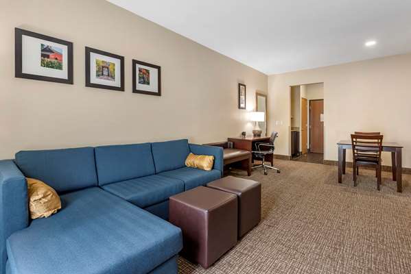 Suite - Comfort Suites Auburn - I-69, Exit 329
