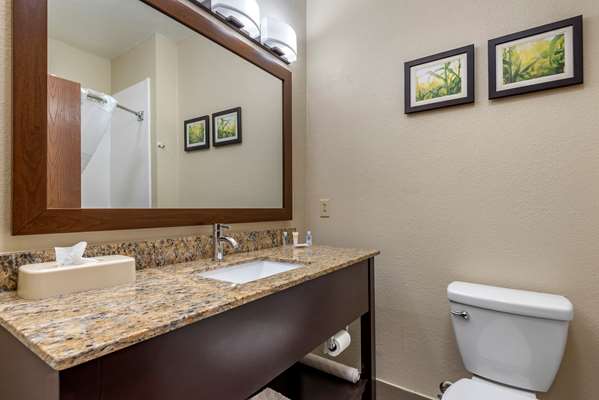 Suite - Comfort Suites Auburn - I-69, Exit 329