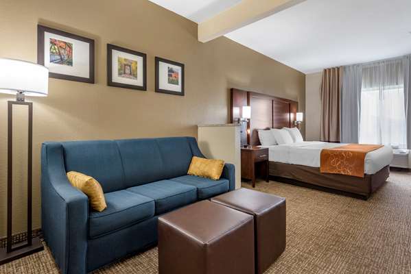 Suite - Comfort Suites Auburn - I-69, Exit 329