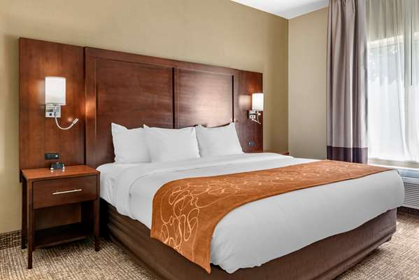 Suite - Comfort Suites Auburn - I-69, Exit 329